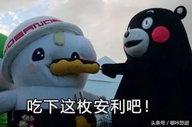 熊本熊游玩,日本熊本熊旅游