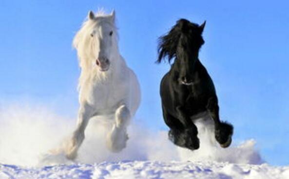 当下创业的方向和前景,自媒体创业方向怎么选