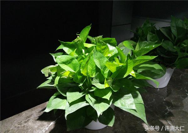 魅蓝5报价参数配置情况,魅蓝5到底值不值得买