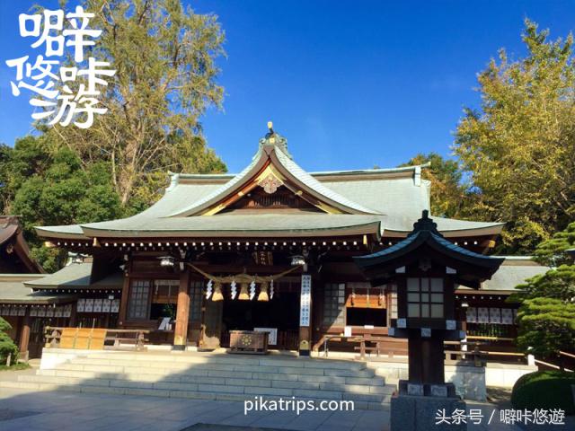 熊本熊游玩,日本熊本熊旅游