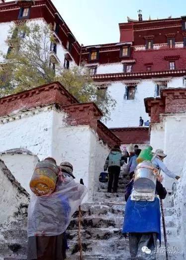 布达拉宫粉墙时间,布达拉宫一年一度的刷墙日