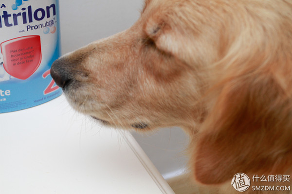 备孕婚前体验,备孕亲身经历和感受