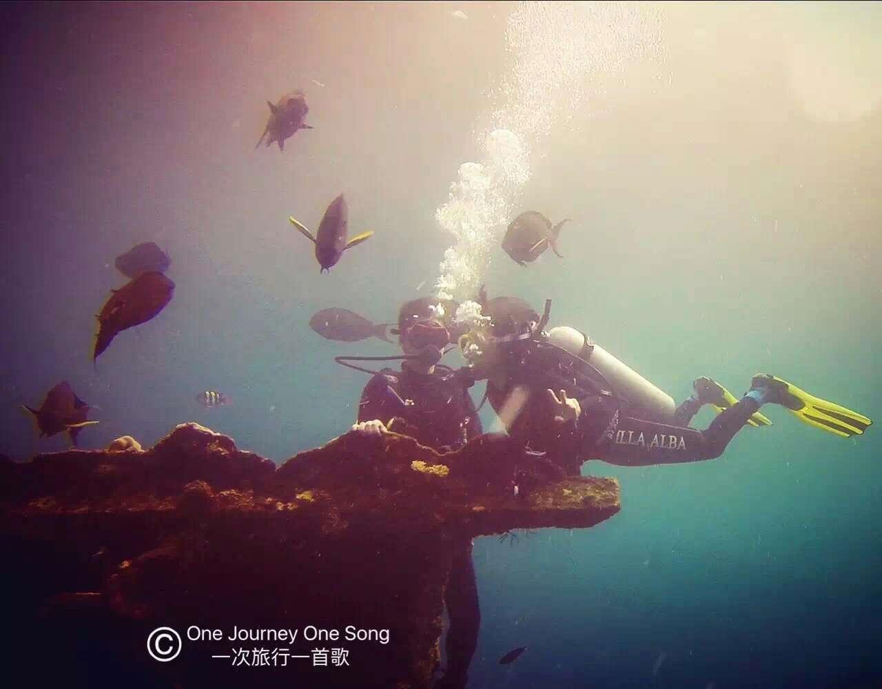 金莎张靓颖,张靓颖金莎