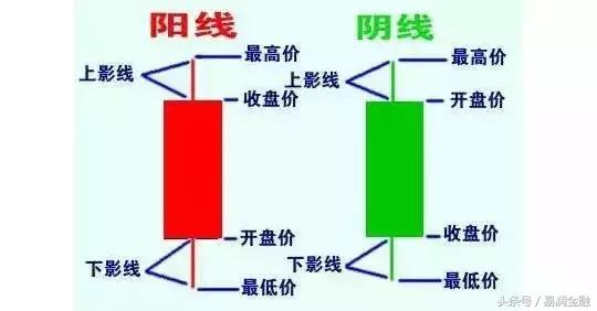 投资入门12分钟教你,菜鸟投资