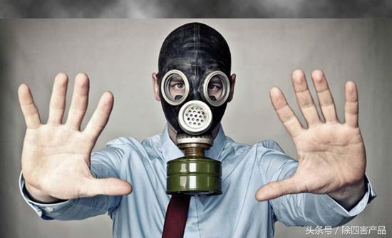 杀虫剂能杀死疥疮吗,杀虫剂能杀死跳蚤吗