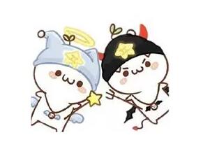 12星座如何开花店,盘点十二星座老板