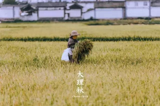 疯子charles课怎么样,疯子摄影师