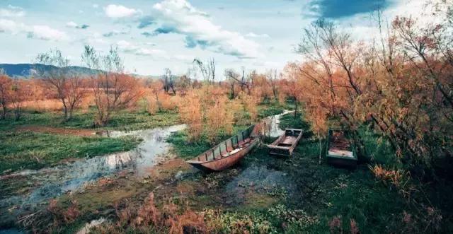 疯子charles课怎么样,疯子摄影师