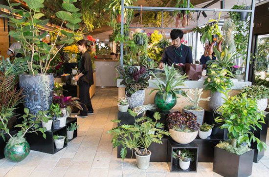 岛国人民开购物中心的脑洞，你不得不服！