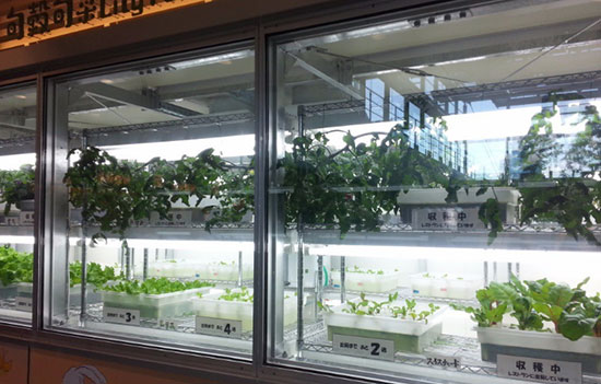 岛国人民开购物中心的脑洞，你不得不服！