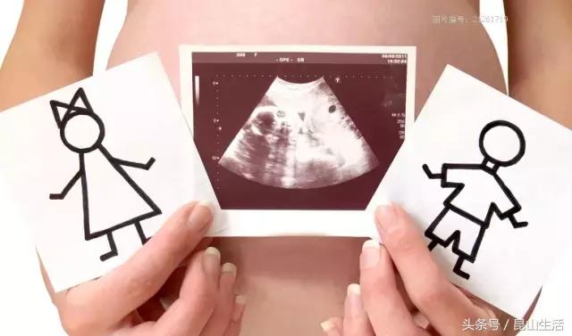 怀孕十六天就能知道是男是女……确定不是吹牛？
