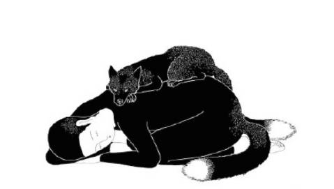 满世界的直男直女癌，你们咋不上天呢？