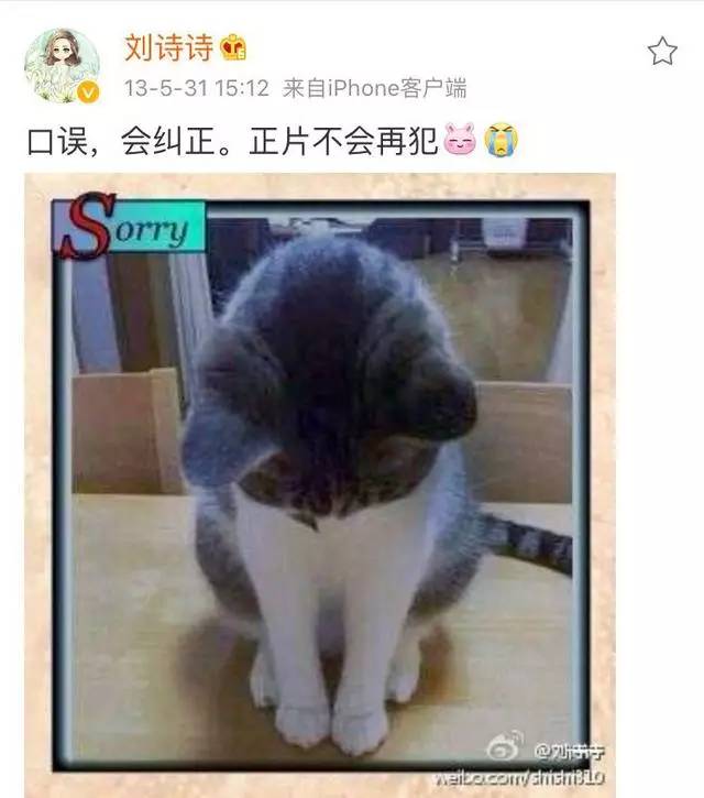 杨幂刘诗诗谢娜林志玲纷纷说错话，到底谁比较尴尬？