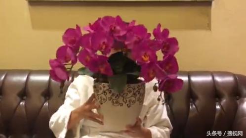 有一种友情叫做张一山与杨紫,有一种友情叫做张一山和杨紫