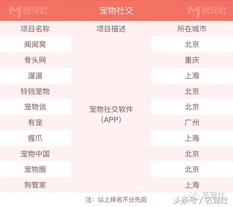 杭州互联网宠物公司有哪些,厦门宠物互联网公司有哪些