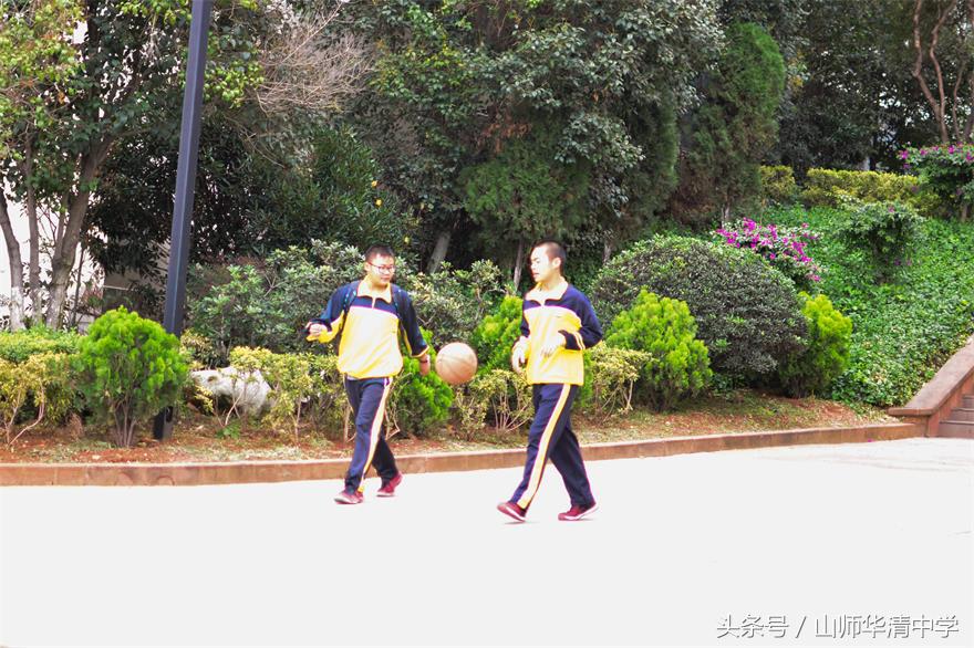 每天锻炼一小时，高效学习每一天