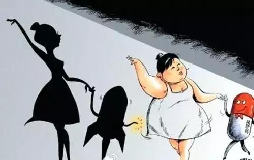 减肥药对肝脏有什么伤害,对肝脏无害的减肥产品