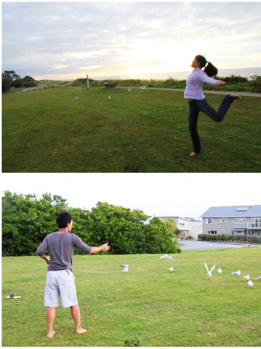 Hokitika的小城日记