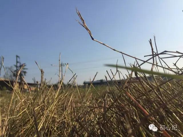 有一座慢待时光的农场，在四季牧歌里吟唱！