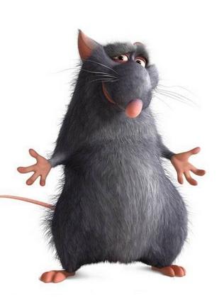 11月17日生肖运势蛇,十二生肖每日运势属蛇6月18日