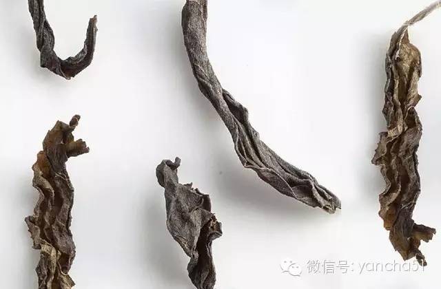 为何说大红袍是“乞丐的外表，皇帝的身价，菩萨的心肠”？