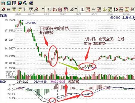股市中超级牛散有哪些,股市牛散是如何成功的
