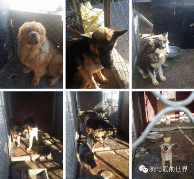 他们是最可爱的人作文700字 (他们是最可爱的人英语)