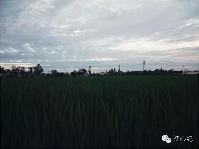 有一座慢待时光的农场，在四季牧歌里吟唱！