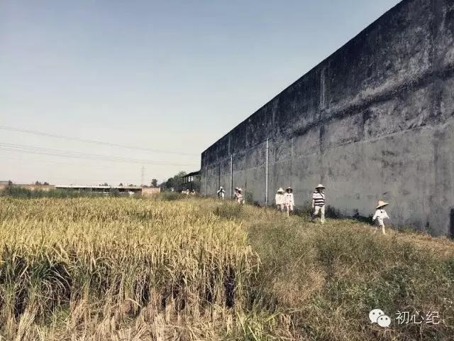 有一座慢待时光的农场，在四季牧歌里吟唱！