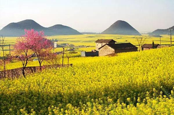 在云南过春节的感受,为什么来云南旅游
