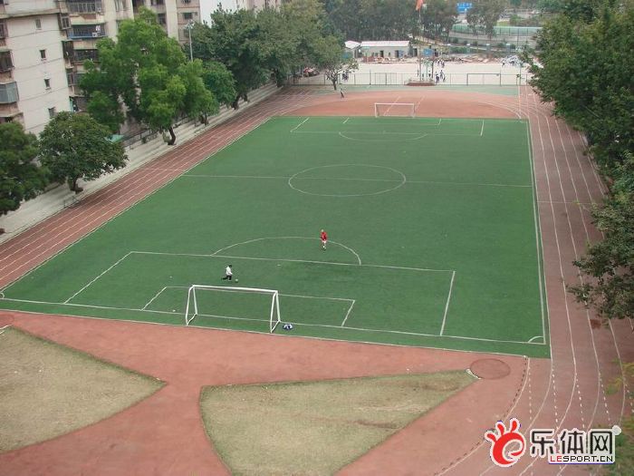 足球疯狂球迷视频,足球疯狂球迷冲场庆祝