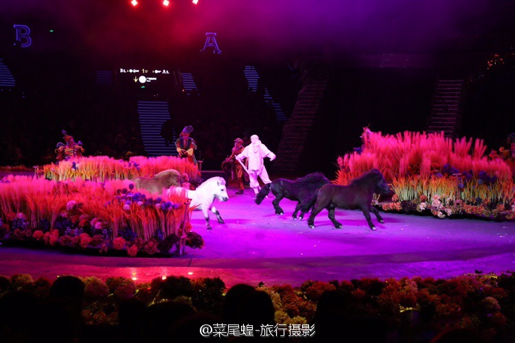 珠海长隆大马戏最佳观看位置,珠海长隆大马戏和长隆秀一样么