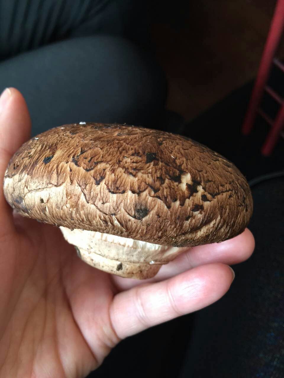 走吗约起之——外滩风尚西餐咖啡。各位您约了吗？我在太原尖草坪