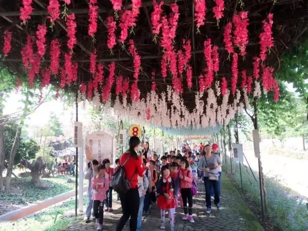 从东莞出发,不到两小时,就可以感受到靓爆灯的童话世界！