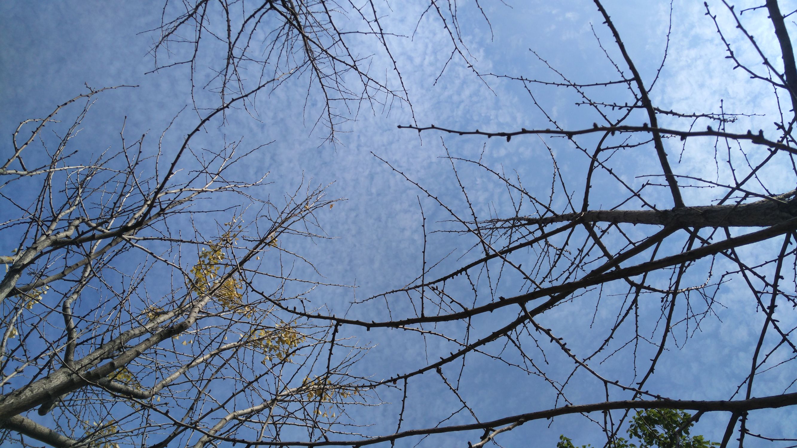 3倍光学变焦成像质量,小米12sultra120倍变焦成像