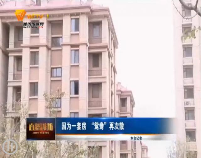 大棒打鸳鸯,一对恋人各南北廿年再聚首,物是人非事事休