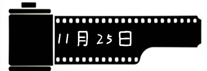 2020十一月观影指南,11月观星指南