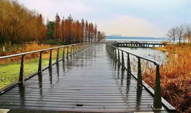 无锡一日游最佳景点旅游攻略,无锡旅游攻略一日游最佳线路推荐