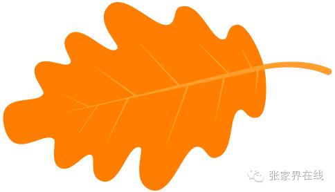影像张家界季节篇：深秋的印记