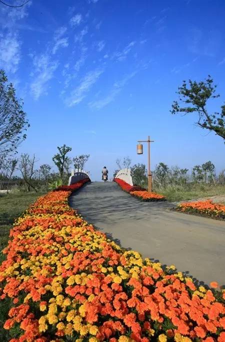 无锡一日游最佳景点旅游攻略,无锡旅游攻略一日游最佳线路推荐