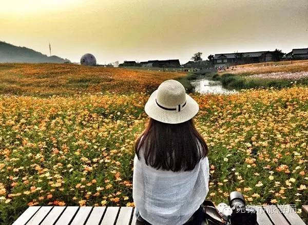 无锡一日游最佳景点旅游攻略,无锡旅游攻略一日游最佳线路推荐