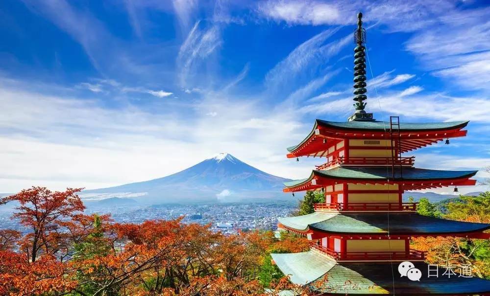 双十一去日本值得买的东西,去日本购物攻略
