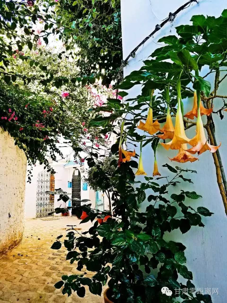 随丫头游北非之十一|童话古城-艾西拉麦地那摩洛哥首都-拉巴特