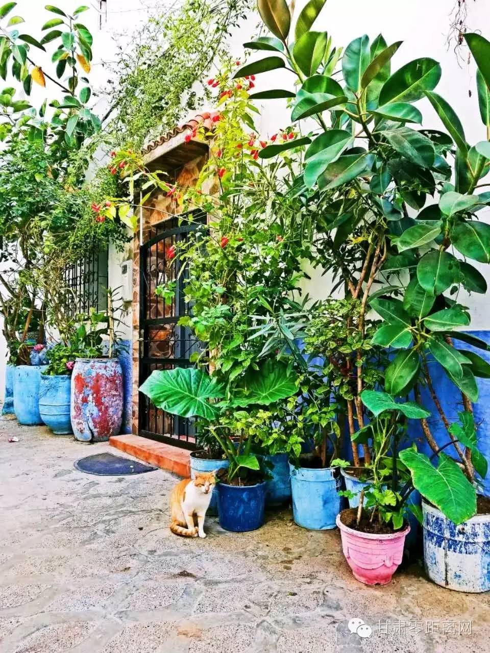 随丫头游北非之十一|童话古城-艾西拉麦地那摩洛哥首都-拉巴特