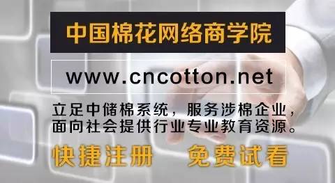 黄河流域：籽棉、棉籽略跌轧花厂态度摇摆