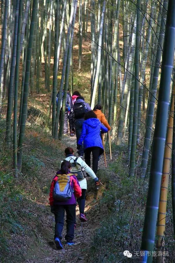 无锡一日游最佳景点旅游攻略,无锡旅游攻略一日游最佳线路推荐