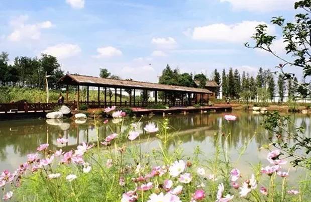 无锡一日游最佳景点旅游攻略,无锡旅游攻略一日游最佳线路推荐