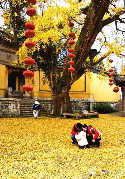 无锡一日游最佳景点旅游攻略,无锡旅游攻略一日游最佳线路推荐