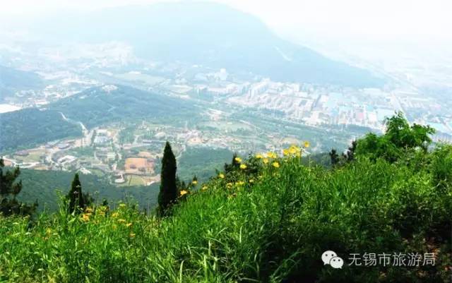 无锡一日游最佳景点旅游攻略,无锡旅游攻略一日游最佳线路推荐