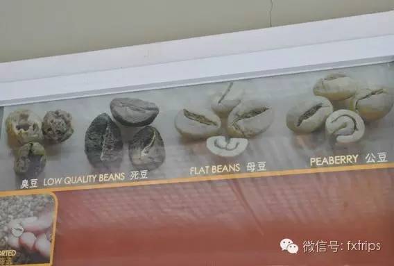 每次从巴厘岛回来，我都得提它个俩箩筐！